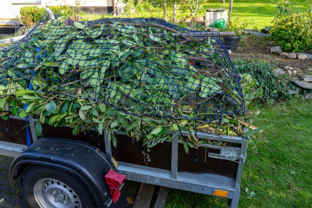 Best Scrap Metal Removal  in Richlands, VA